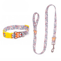 Fashion Nylon Pet Products Dog Collar Leash